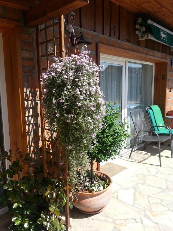 Gasthaus Joo-Wellness Pension Rabapaty Exterior photo
